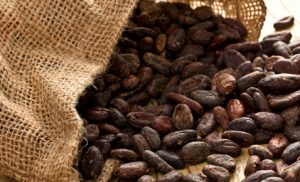 Investire sul cacao on line