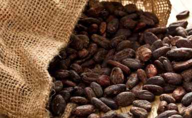 Investire sul cacao on line
