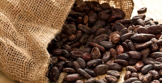 Investire sul cacao on line