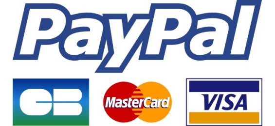 Quali broker Forex accettano Paypal?