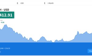 Dash criptovaluta (DSH/USD): +46% in due settimane