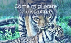 Trading: un mondo di tigri, ma la testa ci darà ragione