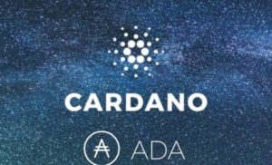 Cardano la criptovaluta più performante dell’ultima settimana dopo interessamento di Google